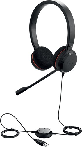 Jabra Evolve 20 MS Stereo Headset Hoofdband USB Type-A Zwart-2