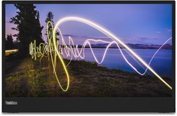 Lenovo ThinkVision M15 computer monitor 39,6 cm (15.6") 1920 x 1080 Pixels Full HD LED Zwart